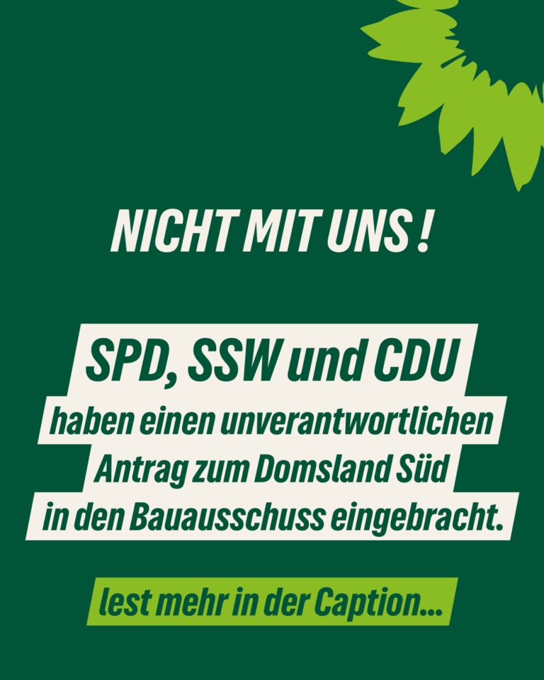 Domsland Süd